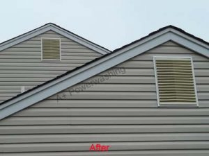 power washing & roof cleaning