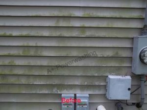 before picture of cleaning