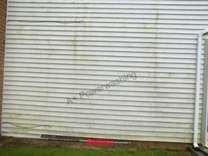 100_4224 Cleaning service