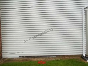 100_4227 Pressure cleaning