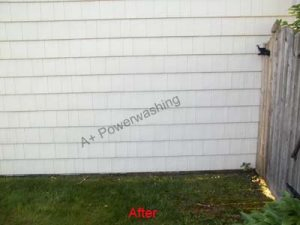 A+ power washing
