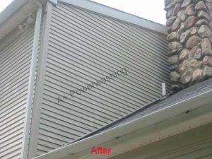 roof cleaning service