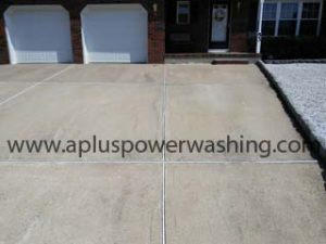 power washing & roof cleaning service
