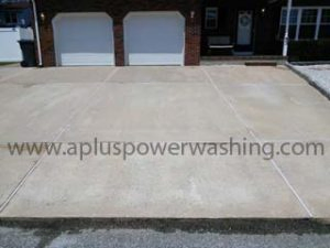 power washing & roof cleaning service