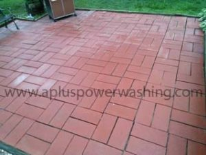 power washing & roof cleaning service