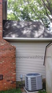 back of house - clean siding