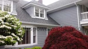 cleaned siding - front of house