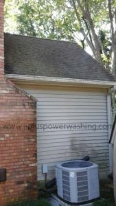 back of house - dirty siding