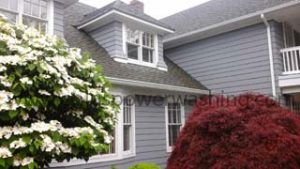 roof cleaning service