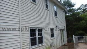 before clean house siding (back)