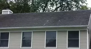 roof before power washing