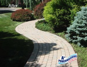 Stone Walkway after Power Washing