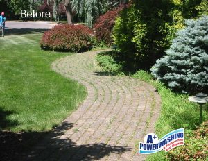 stone walk before power washing