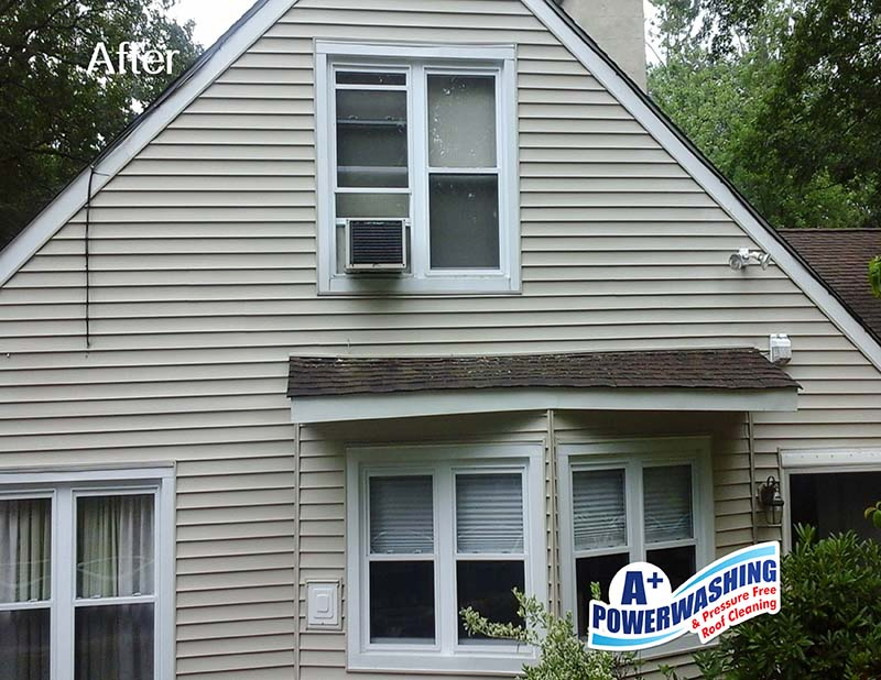 Pressure Washing Vinyl Siding