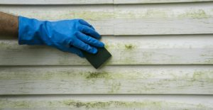 The Biggest Lie About Home Power Washing Services