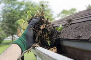 Your Guide to Gutter Cleaning like a Pro Your Guide to Gutter Cleaning like a Pro