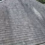 black algae on the roof of a home