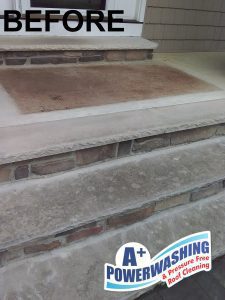 nj cleaning - before