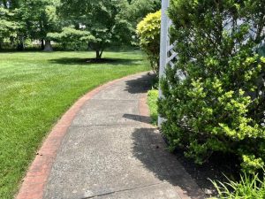 Little Silver - Before SideWalk