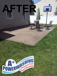 Monmouth Beach cleaning - after