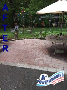 Wall Township cleaning after