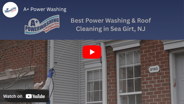 YouTube Video Sea Girt NJ